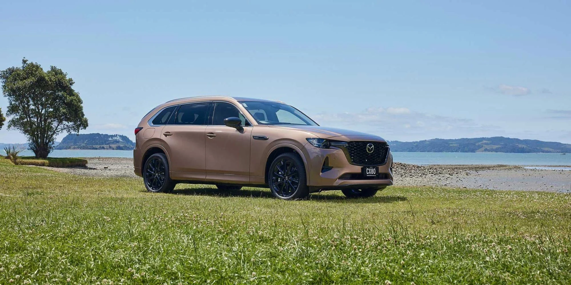 Banner Cx80 1000x July25